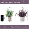 2 Pack Small Fake Plants Eucalyptus Potted Artificial Plants Fall Decorations for Home Shelf Office Bathroom Desk Farmhouse Room Coffee Table Decor Ha