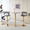 Modern Bar chair(set of 2 ) with golden color iron tube legs, soft cushions and comfortable backrest, suitable for dining room, living room, cafe